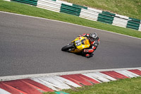 cadwell-no-limits-trackday;cadwell-park;cadwell-park-photographs;cadwell-trackday-photographs;enduro-digital-images;event-digital-images;eventdigitalimages;no-limits-trackdays;peter-wileman-photography;racing-digital-images;trackday-digital-images;trackday-photos